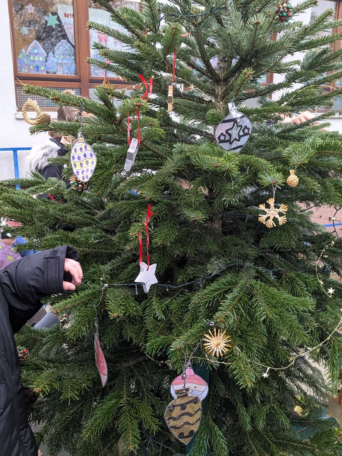 02053ee3-d101-4be4-93a8-c5a33115446d